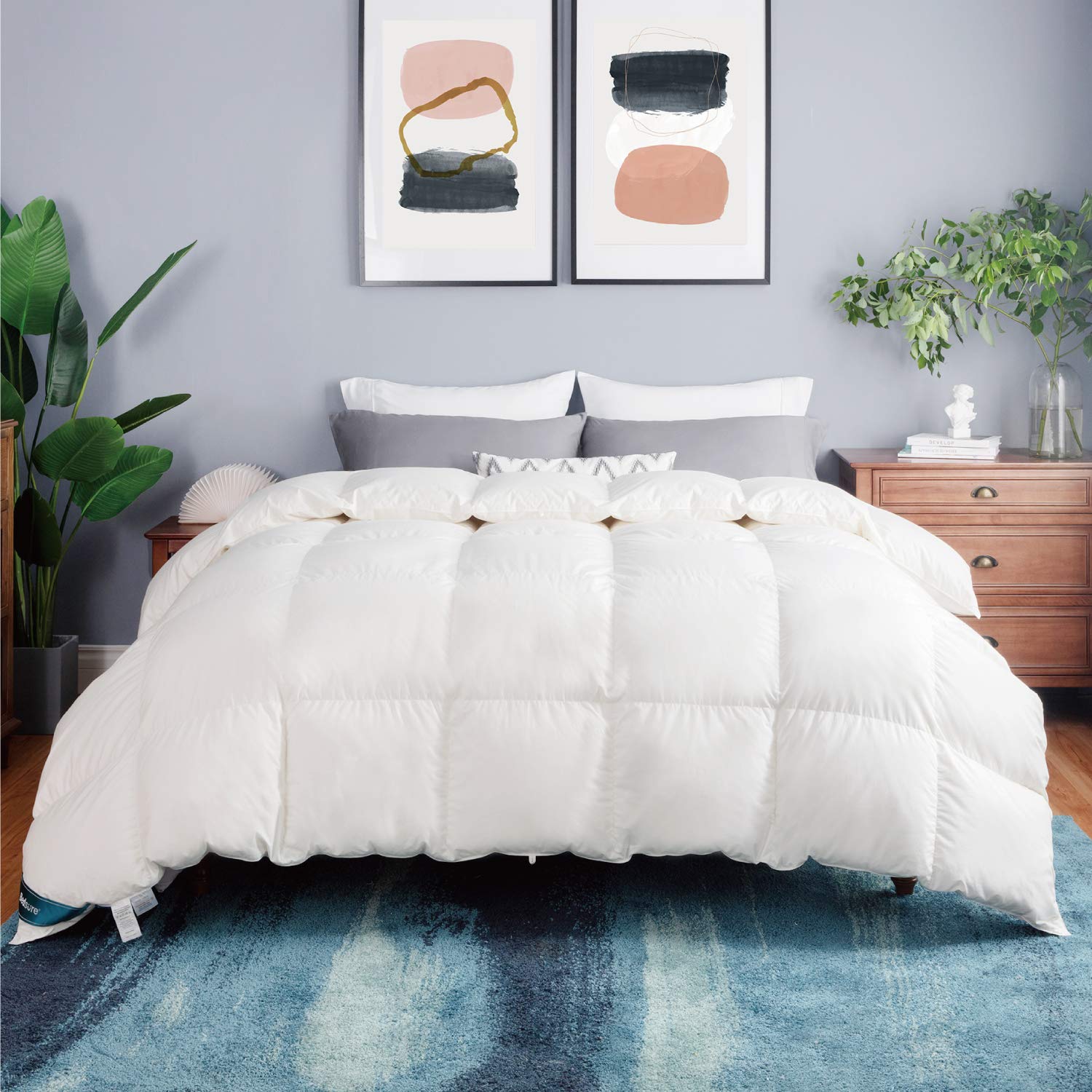 Bedsure Down Comforter Queen Down Comforter Full (88x88 Inches) - Goose Down Comforter 50 Oz 700 Fill Power Washable - Queen Down Comforter Duvet Insert Cotton Cover with Corner Tabs
