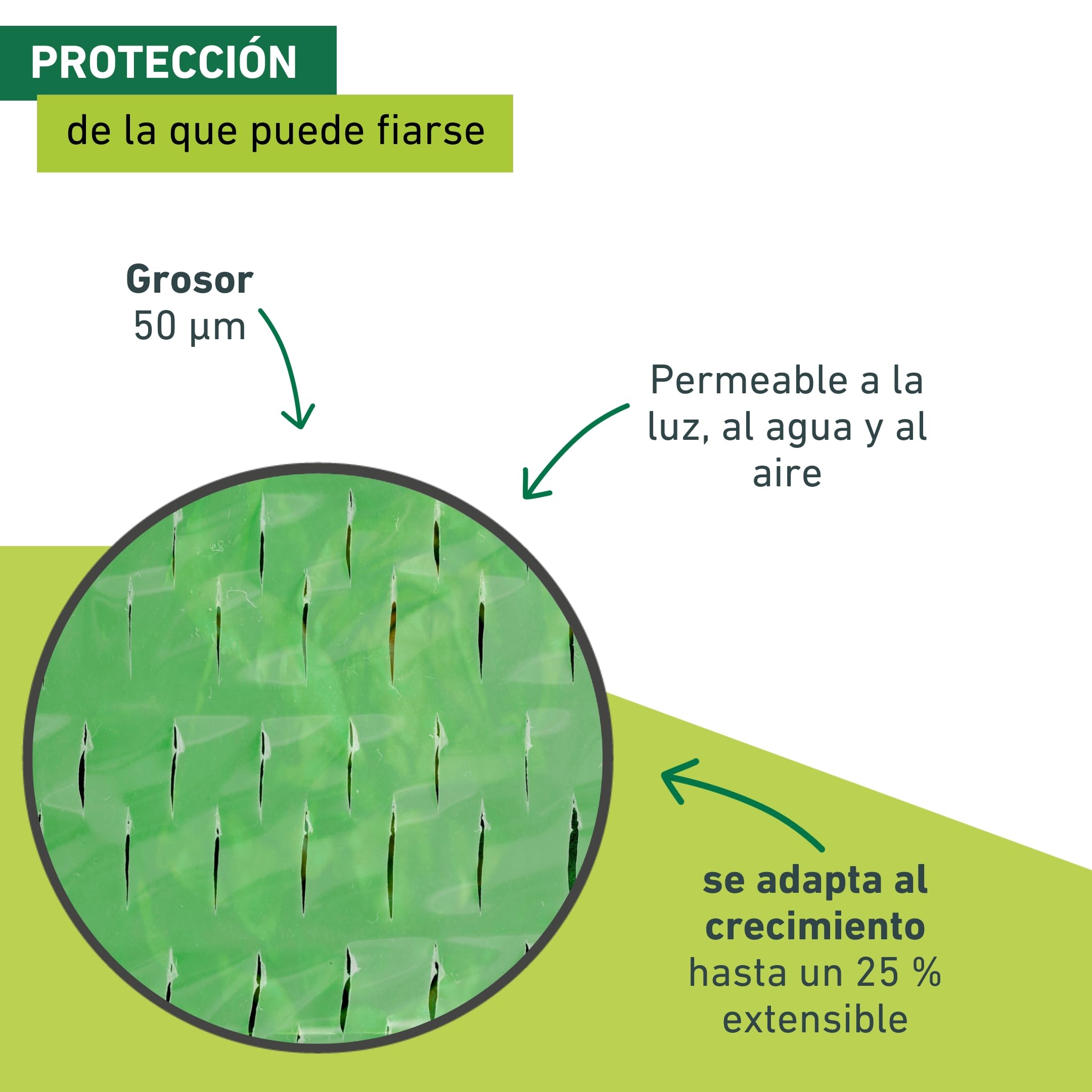 Windhager Película de Marco frío Que Crece con tu Hijo, película para Plantas para protección Durante Todo el año, película de Marco frío, película para Plantas, Verde, 7,2 x 1,4 m