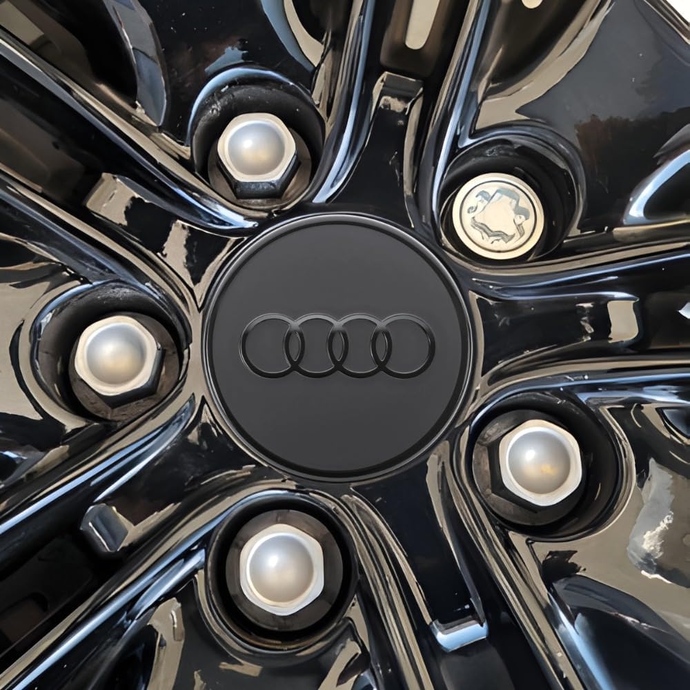 Farad PP12/E Galvanized Lug Bolt Wheel-Locks Kit Suitable for Audi Q5 (M14 X 1.5 Thread Size) - Set of 4 Lug Bolts + 1 Key