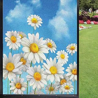 Daisy Frosted Window Film Window Film Privacy,Blue Sunny Day Summer Sky Meadow Botanical Petals Window Privacy Reflective for Home UV Blocking Privacy,Sky Blue Mustard 24 x 36