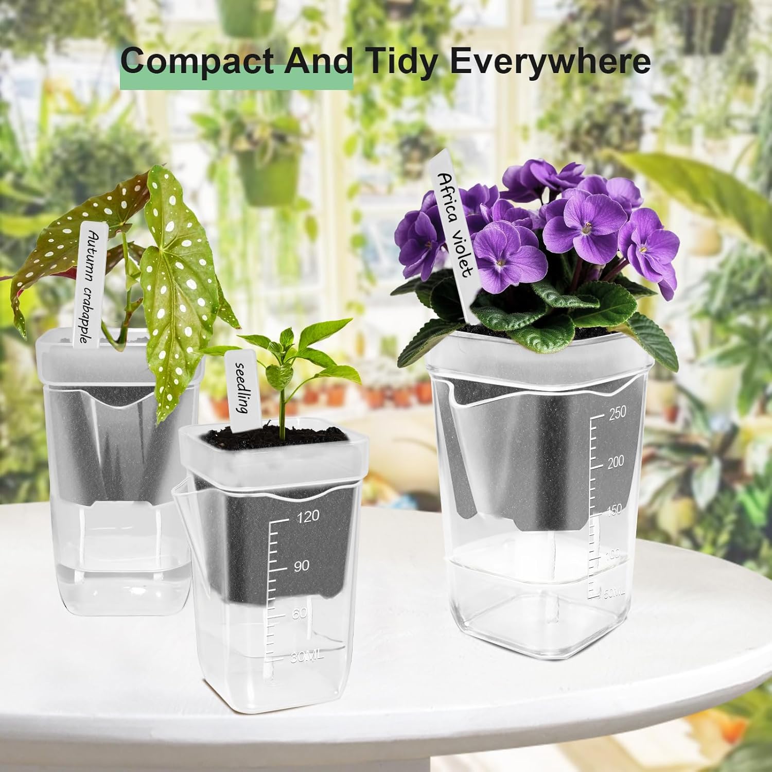 24 Pack 2.5" Small Self Watering Pots for Indoor Plants, Clear Plant Pots with Drainage & Water Level, Semi Hydroponic Pots for Propagation, African Violet, Cutting and Succulents