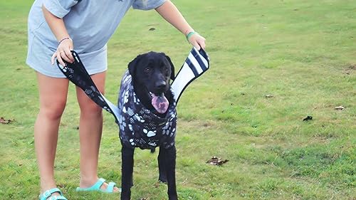 Miniatura 8 de Albornoz para perro, bata de baño para perro, bata de baño, toalla de baño para perro, abrigo de secado para perros ultraabsorbente y de secado