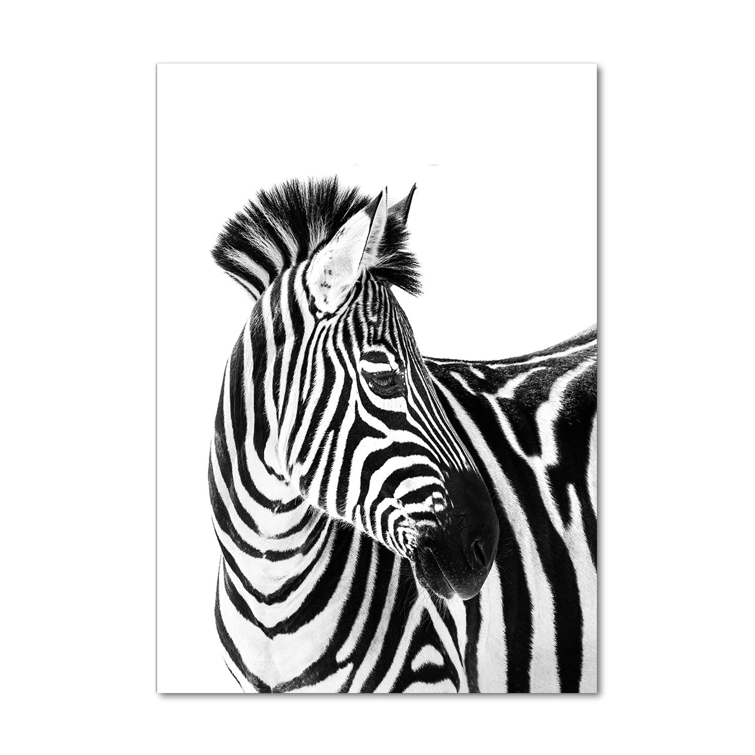 Impression sur verre acrylique zèbre pour créer un salon design et une déco murale minimaliste