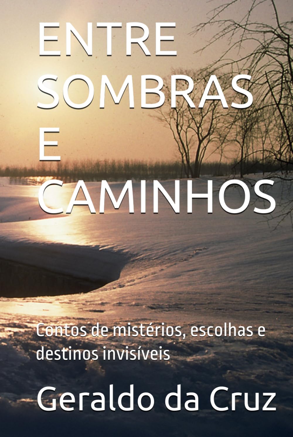 ENTRE SOMBRAS E CAMINHOS: Contos de mistérios, escolhas e destinos invisíveis