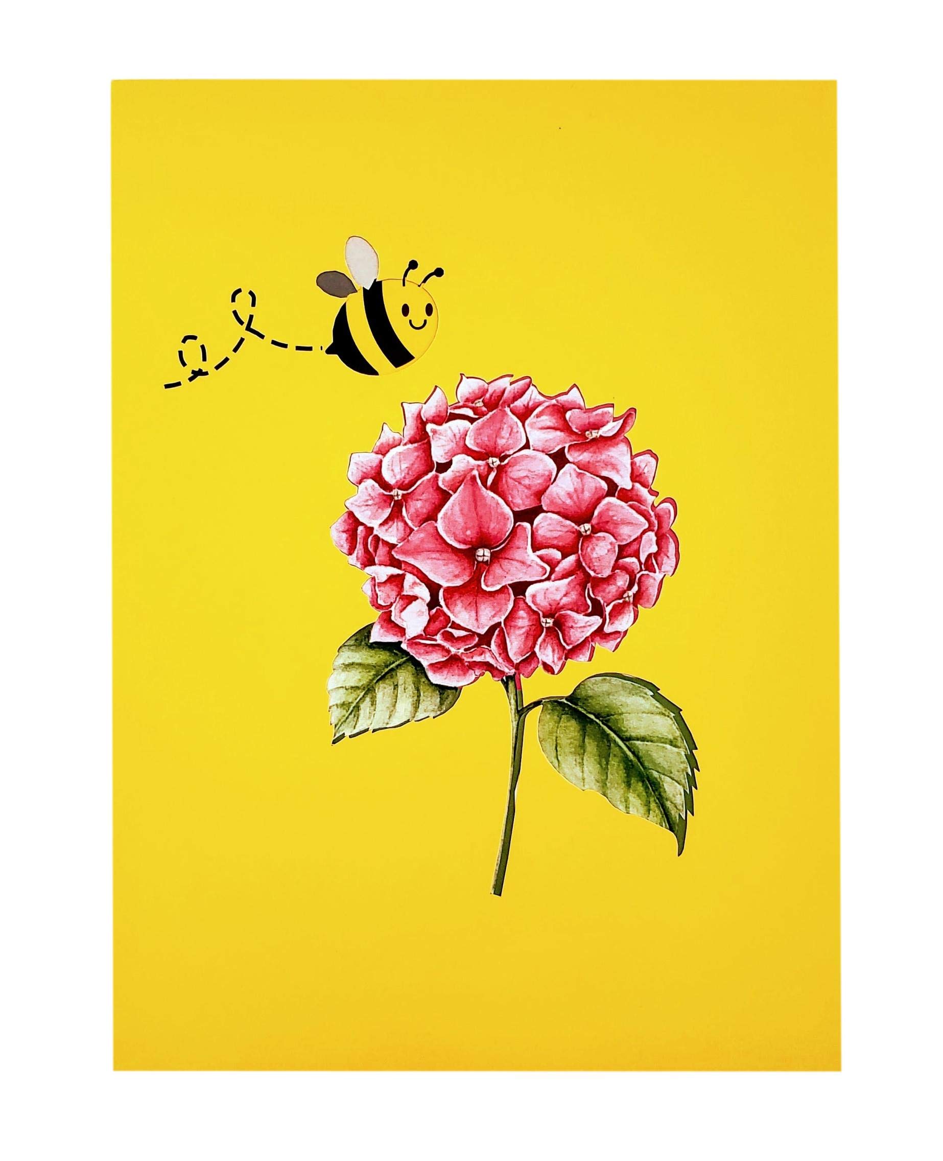 iGifts And Cards Happy Floral Bee 3D-Pop-Up-Grußkarte – Thinking of You, Happy Birthday, Muttertag, Get Well Soon, Miss You, Congratulations, Love, Cute, Fun