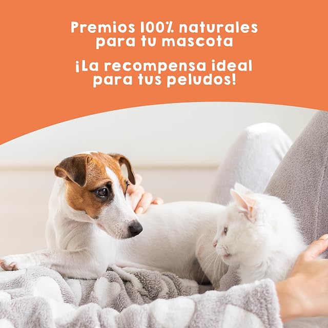 Foto 5 de 7 de MAIKAI Chuches Naturales con Omega 3 para Perros Mejillón de Labio Verde 150 g Snack Barf Salud Articular…