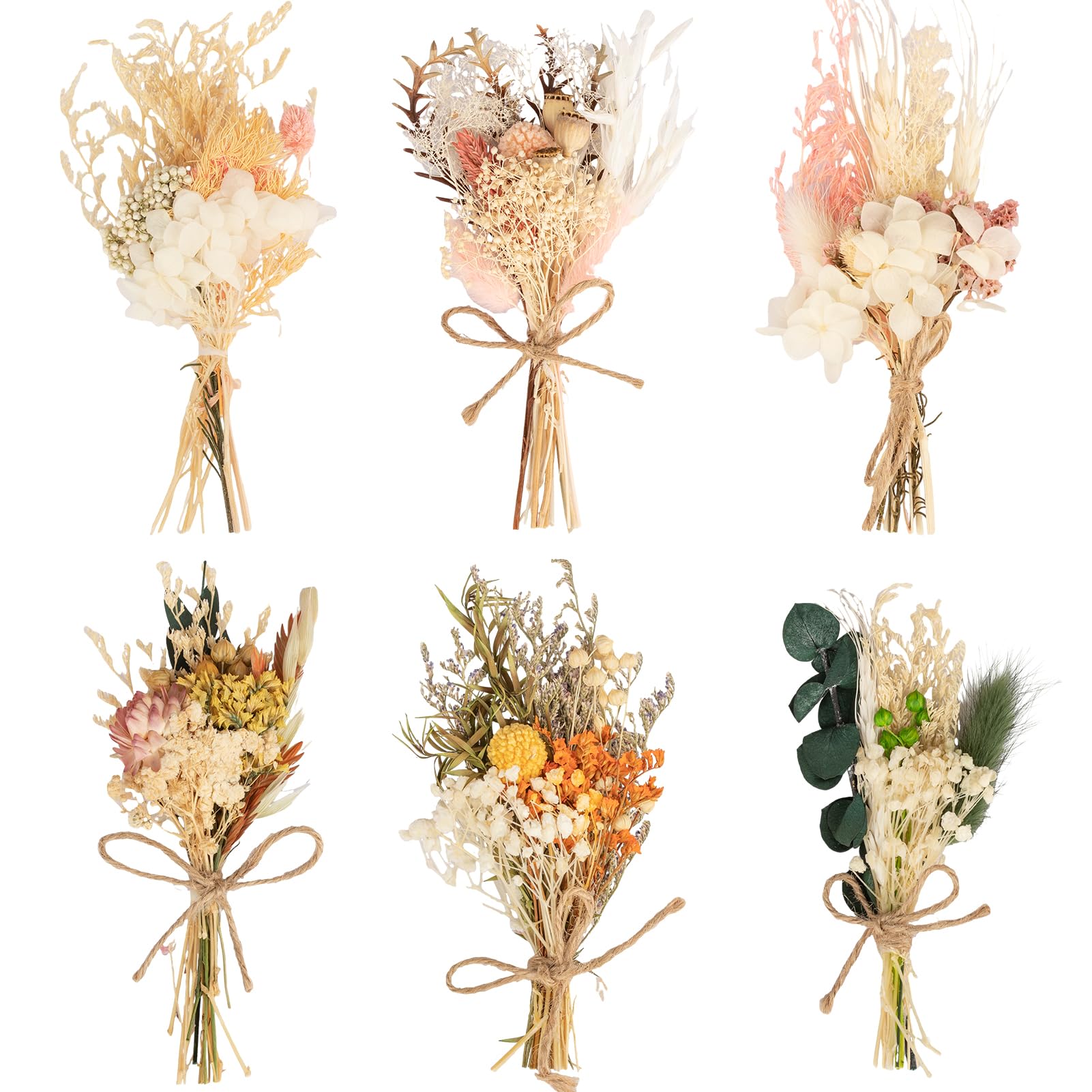 Fleurs Séchées LAUMOE - 6 Bouquets Naturels - Décoration Maison, Résine, Bougies DIY