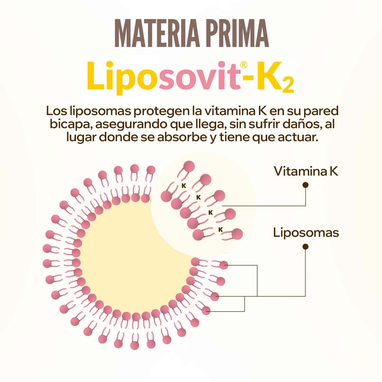 HSN Vitamina K2 Liposomal 100mcg Liposovit® | 120 Cápsulas Vegetales - PURA Vitamina K2 LIPOSOMADA K2-MK7 (menaquinona-7) | Mejor ABSORCIÓN y BIODISPONIBILIDAD | No-GMO, Vegano, Sin Gluten ni Soja