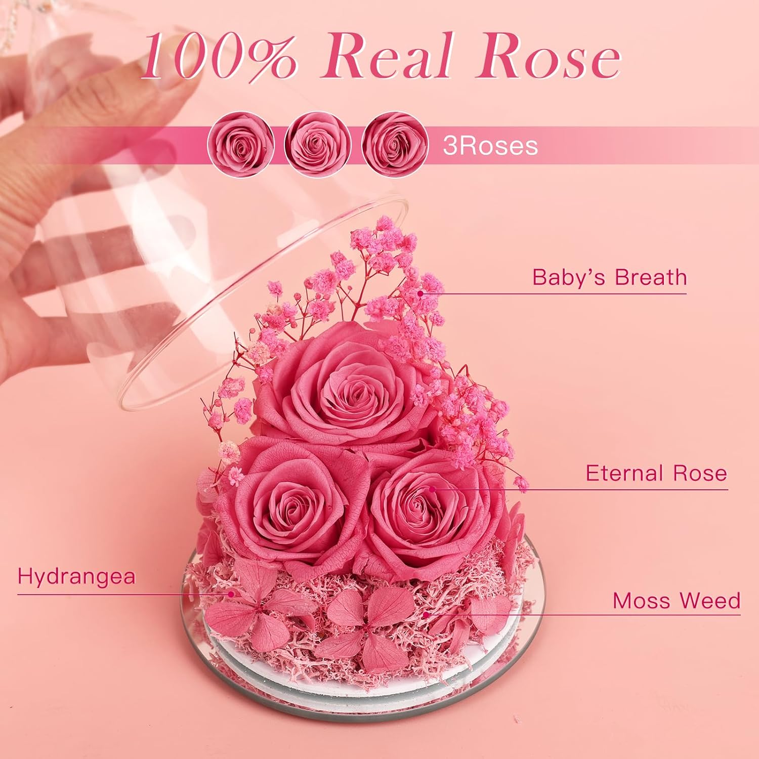 Valentines Day Gifts for Her Preserved Flower Rose Gifts for Women, Forever Eternal Flowers in Glass Angel Figurines Flowers for Delivery Prime Pink Roses for Grandma Mom Sister Wife Birthday Decor - Image 2