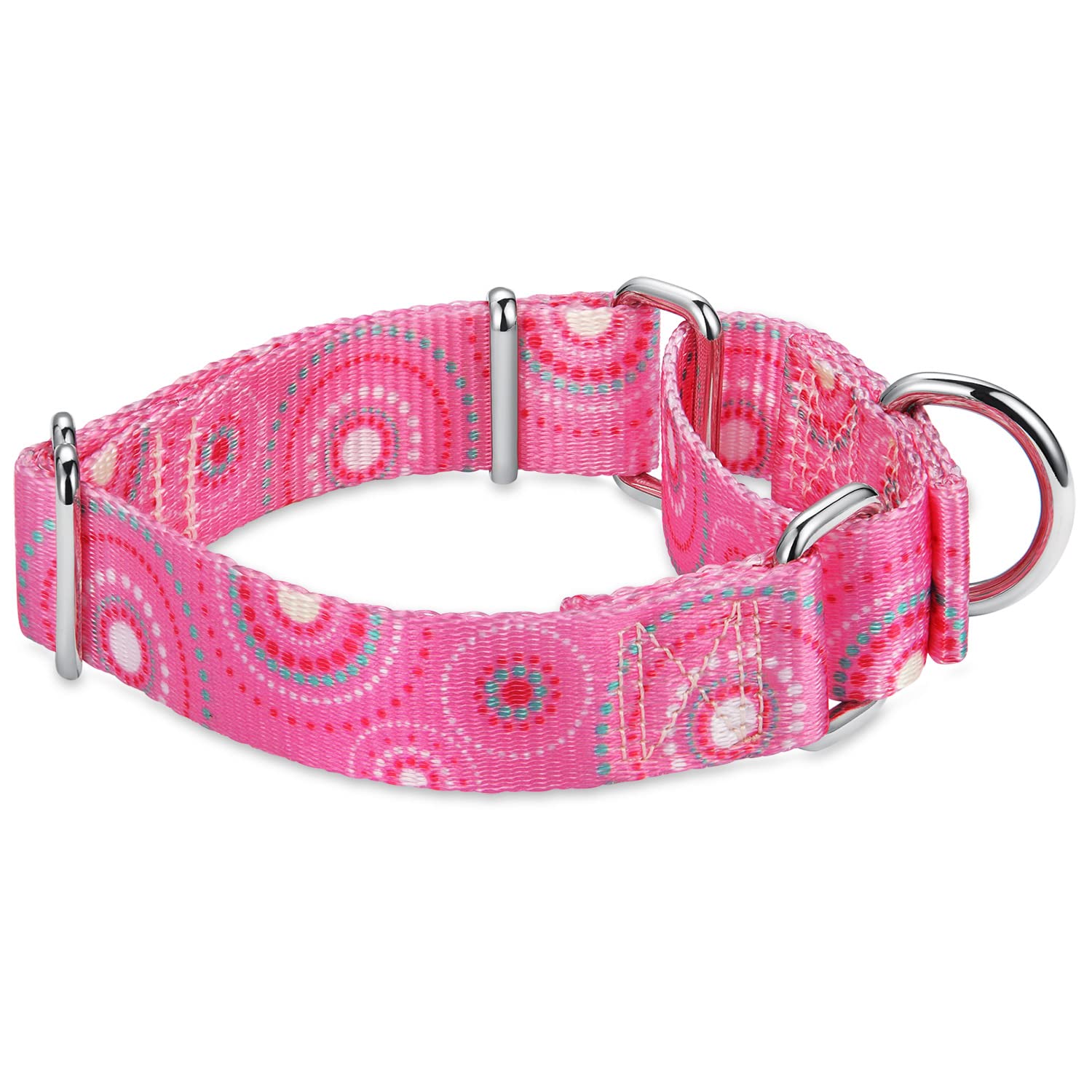 Dazzber Martingal-Halsband Für Hunde – Verstellbar, 2,5 Cm Breit, Dunkellila, Für Große/kleine Hunde