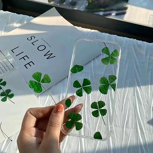 Vista 40 de 48 piezas de flores secas prensadas naturales para decoración de pasteles, flores secas reales para la fabricación de joyas de resina, manualidades