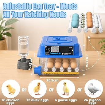 Upgrade 16-Egg Fully Automatic Incubator, Automatic Temperature & Humidity Control, Auto-Turning and Dual Power Supply for Hatching Hen Duck Quail Eggs