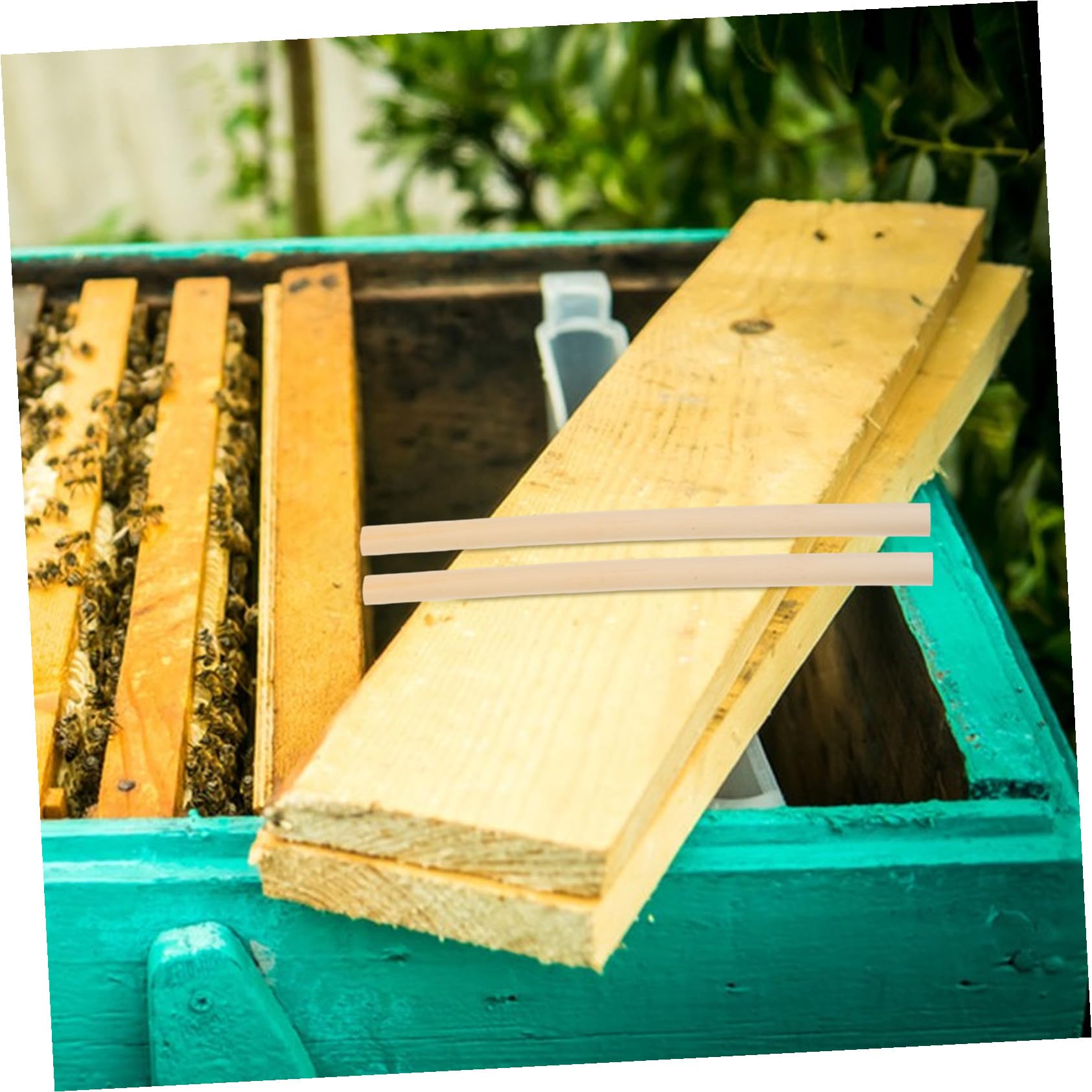 DOITOOL 500 Pezzi Tubi di Canne per Api da Apicoltura Esterni Ricambio Naturale per Casa Api Accessori per Impollinazione e Allevamento Solitarie