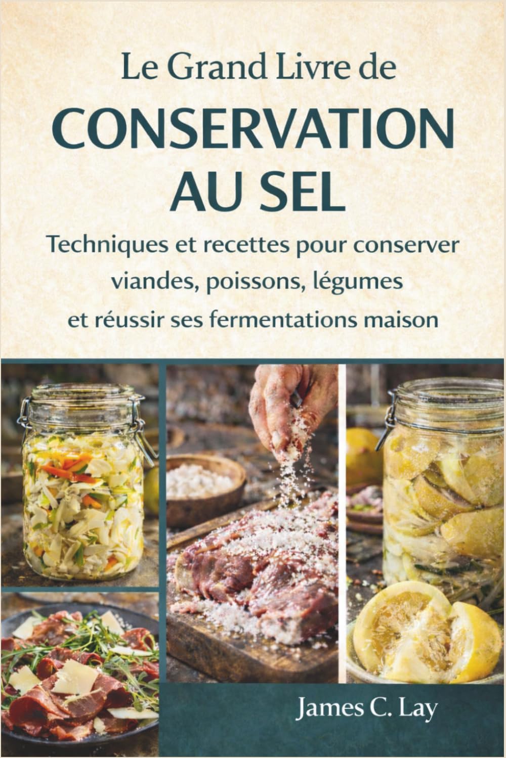 Le Grand Livre de la Conservation au Sel: Techniques et recettes pour conserver viandes, poissons, légumes et réussir ses fermentations maison