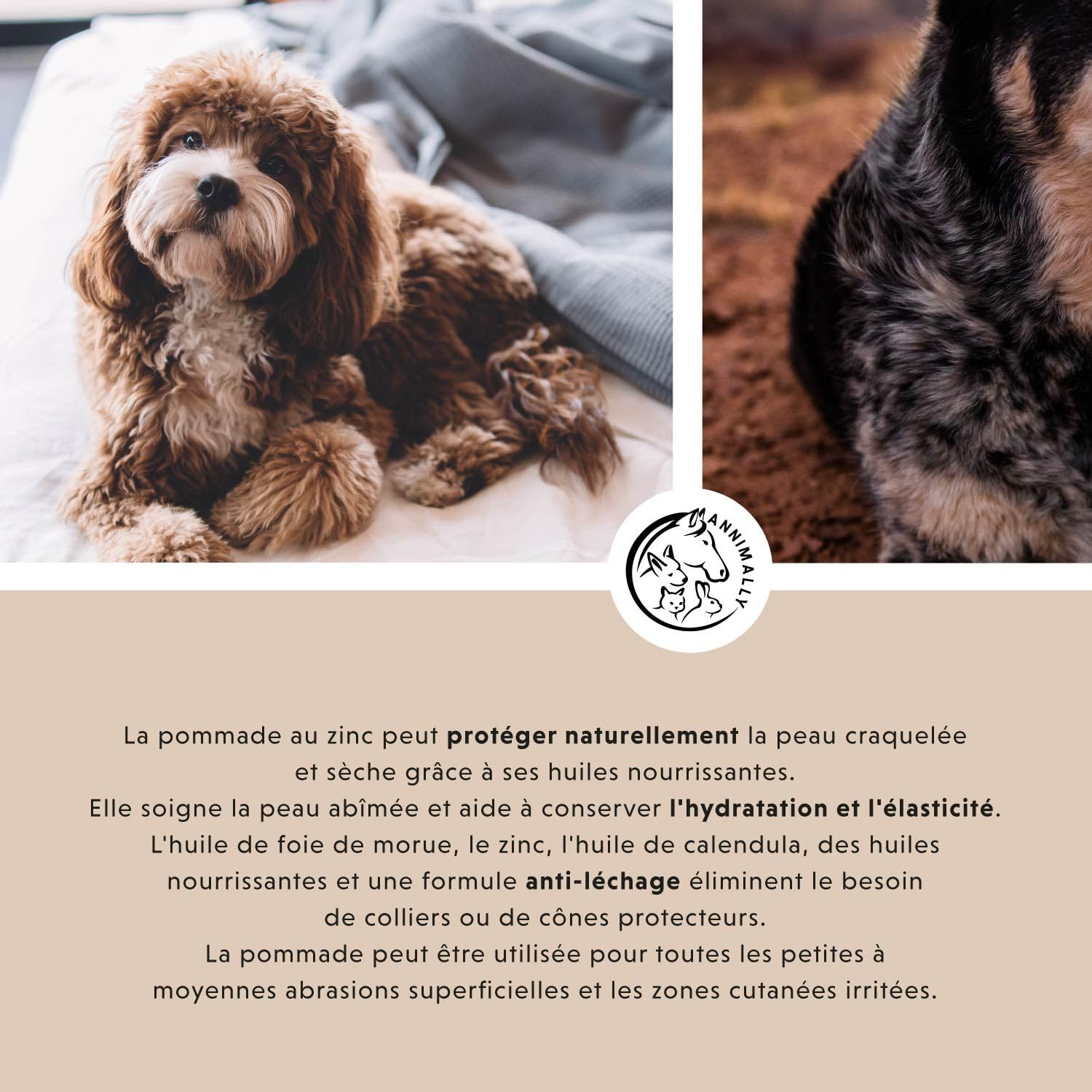Pommade au Foie de morue et au Zinc pour Chiens 50g - Pommade pour blessures, eczéma et escarres - Baume pour Chiens, Chats, Chevaux et Petits Animaux avec du Zinc, de l'huile de Foie de morue