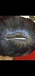 Review Image by ladyinspirit ladyinspirit