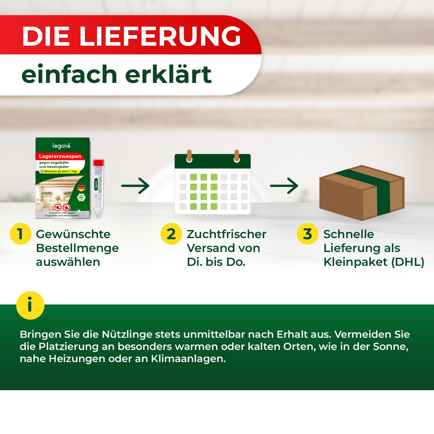 Legona Lagererzwespen gegen Kugelkäfer und Messingkäfer 1 Röhrchen (10m²) - Materialschutz für Wohnung, Vorrat und Lager