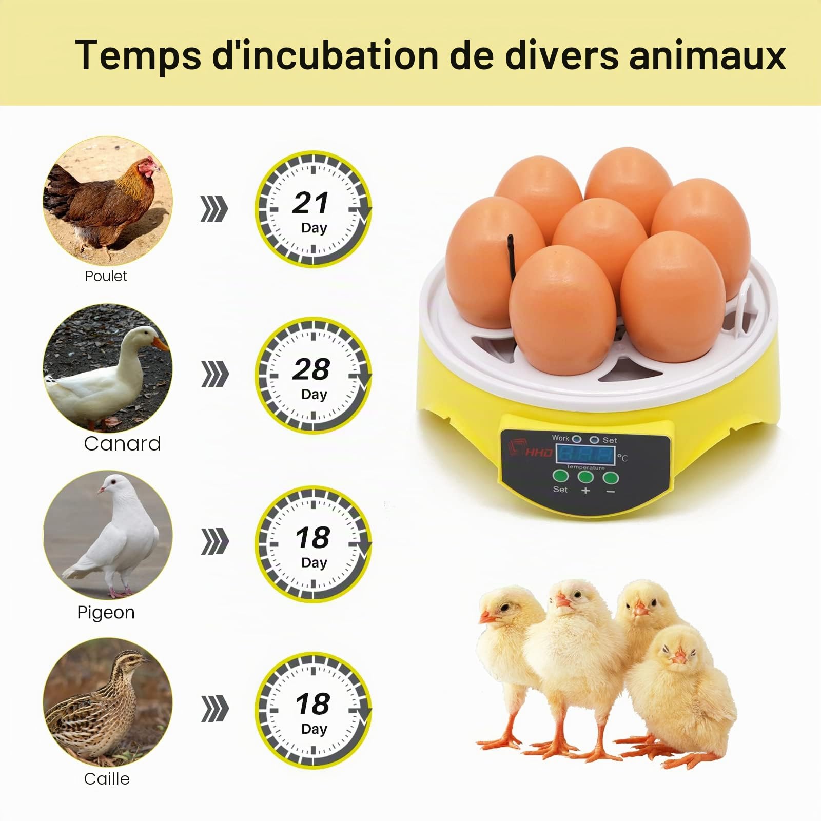 7 Oeufs Mini Incubateur Couveuse Oeuf avec ContrôLe NuméRique Intelligent TempéRature Incubateur Oeuf Tortue Couveuse Poussin