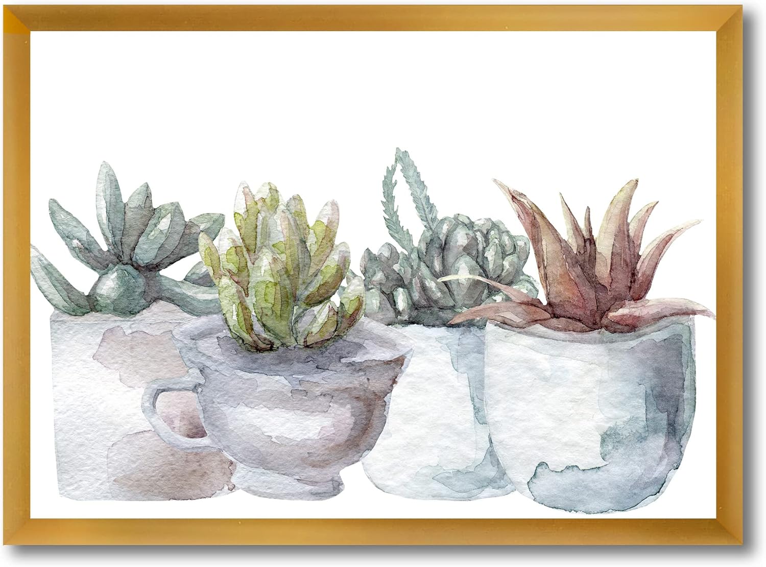 Cactus and Succulent House Plants IV Farmhouse Framed Wall Art