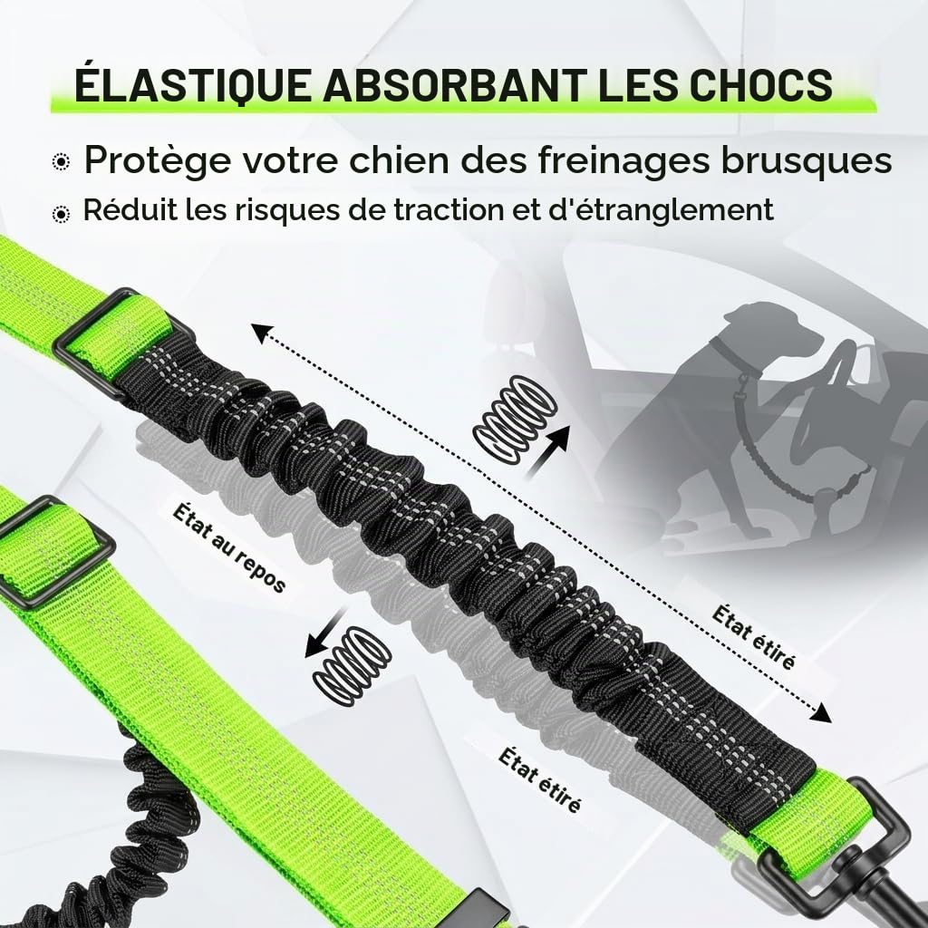 Laisse Double pour 2 Chiens Rétractable Vert Fluorescent - sans Enchevêtrement Pivot 360° avec Amortisseur Élastique et Coutures Réfléchissantes pour Promenades Sécurisées de Petits et Moyens Chiens