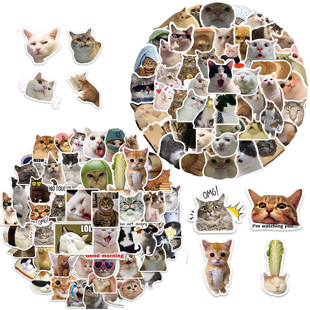 QIUYUEMIN 100Pcs Cat Cute Stickers,Funny Kawaii ...