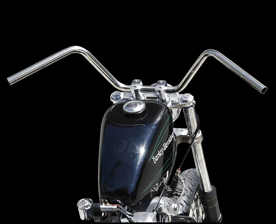 EASYRIDERS BADBONE GANGSTER イージーライダース Amazon | イージーライダース(EASY RIDERS) ヘブンズバー 1