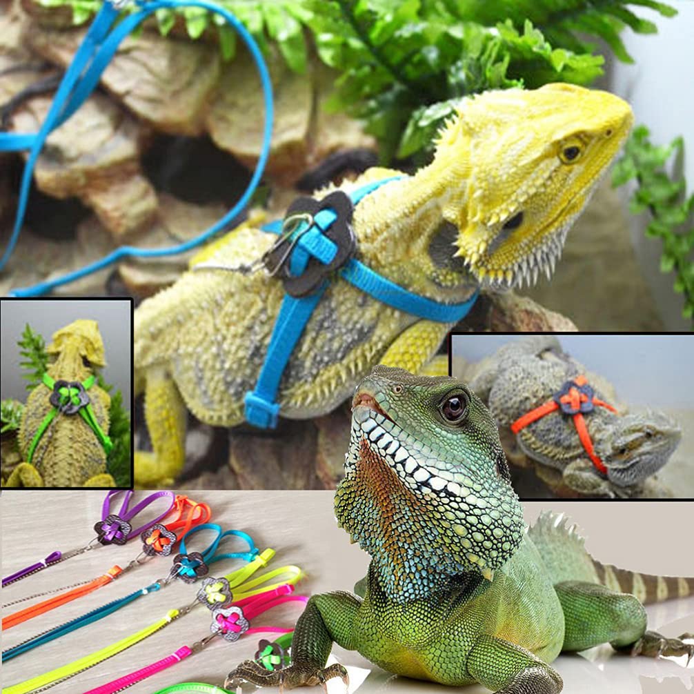Gatuida Verstellbares Reptiliengeschirr mit 1,2m Leine aus Nylon und Metall für Outdoor Spaziergänge mit Eidechsen und Kleintieren in Violett Zufällige Farbe