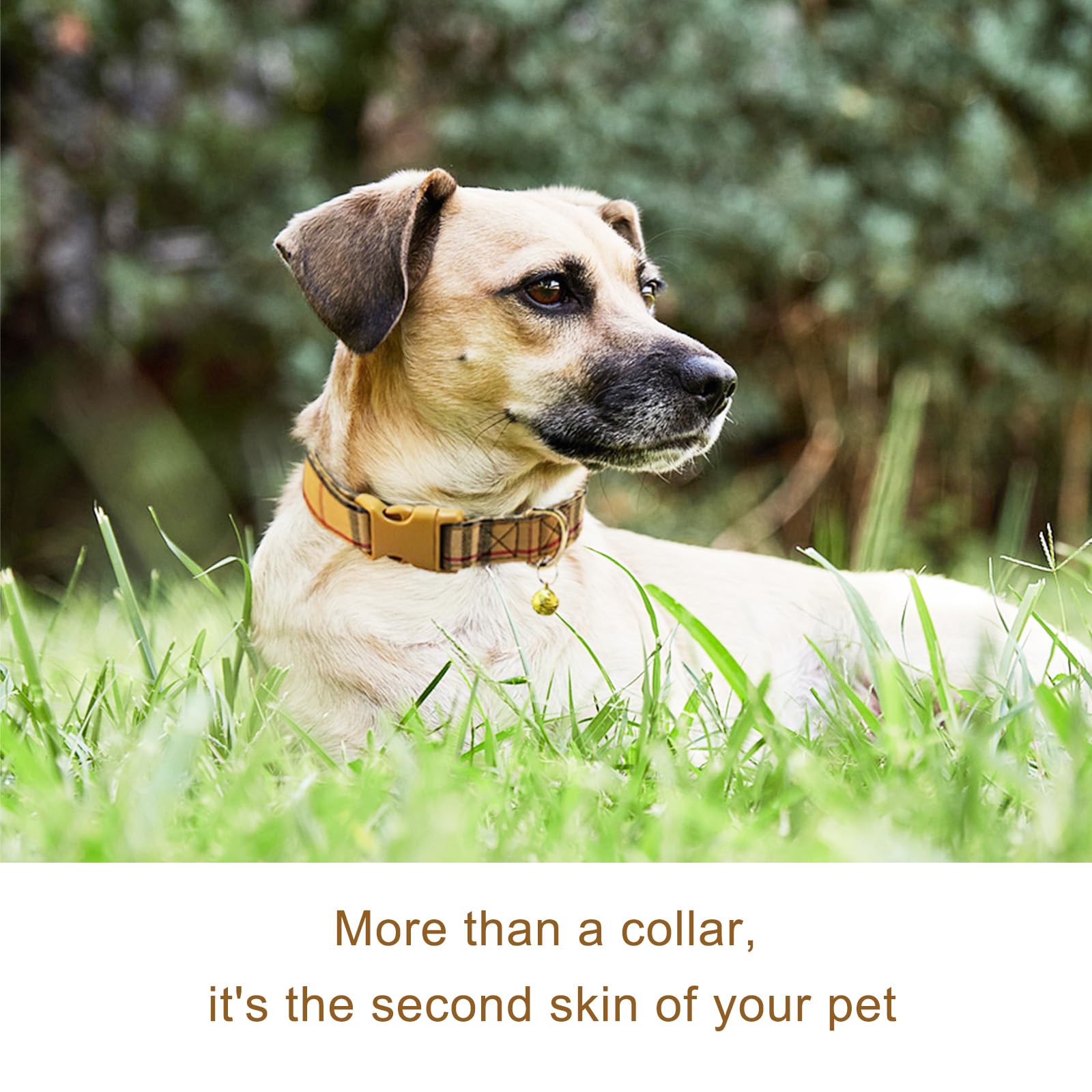 Cute Plaid Dog Collar Harness and Leash with Safety Buckle - Adjustable and No Pull Comfortable Dog Collars for Small Puppy, Stylish Durable Gift for Boy Girl Pets