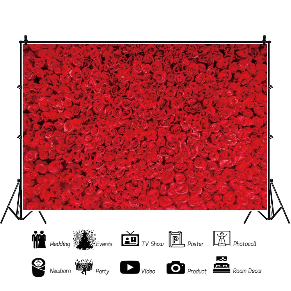 6.1x3 m rote Rose Fotografie Hintergrund rote Rose Blume Wandhintergrund Rose Blumen Hochzeit Brautdusche Geburtstag Party Dekoration Hintergrund Banner Valentinstag Muttertag Foto Hintergründe