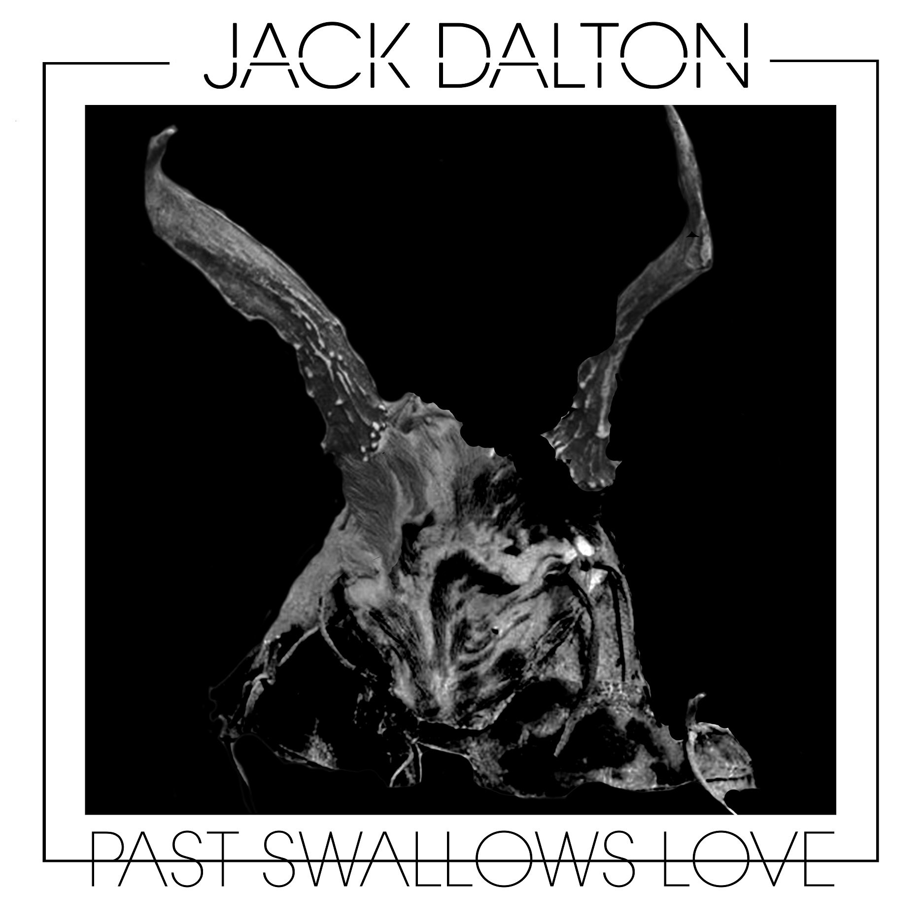 Past Swallows Love [VINYL]