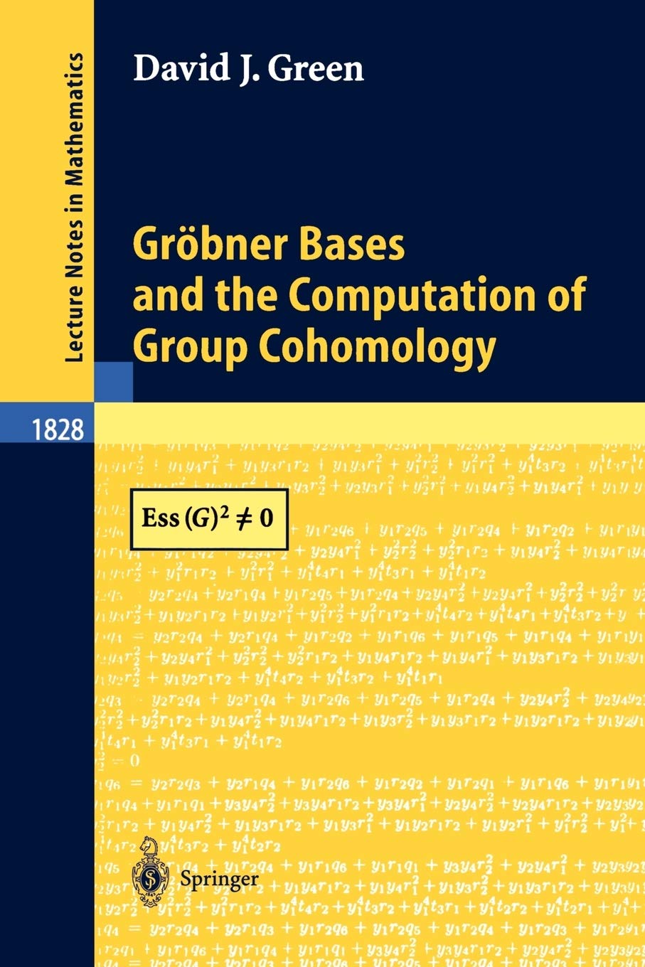 Gröbner Bases and the Computation of Group Cohomology (Lecture Notes in Mathematics, 1828)