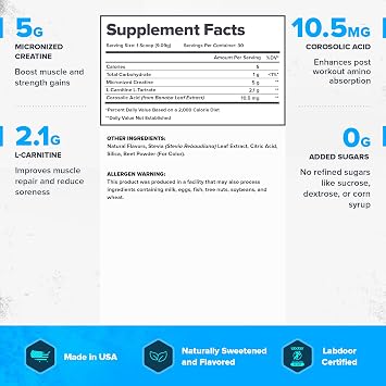 LEGION Recharge Post Workout Supplement - All Natural Muscle Builder & Recovery Drink with Micronized Creatine Monohydrate. Naturally Sweetened & Flavored, Safe & Healthy (Watermelon, 30 Serve)