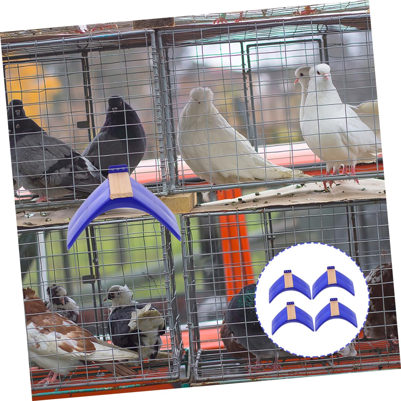 Support pour Oiseaux Perchoir Bleu Lot de 10 en Bois et PP