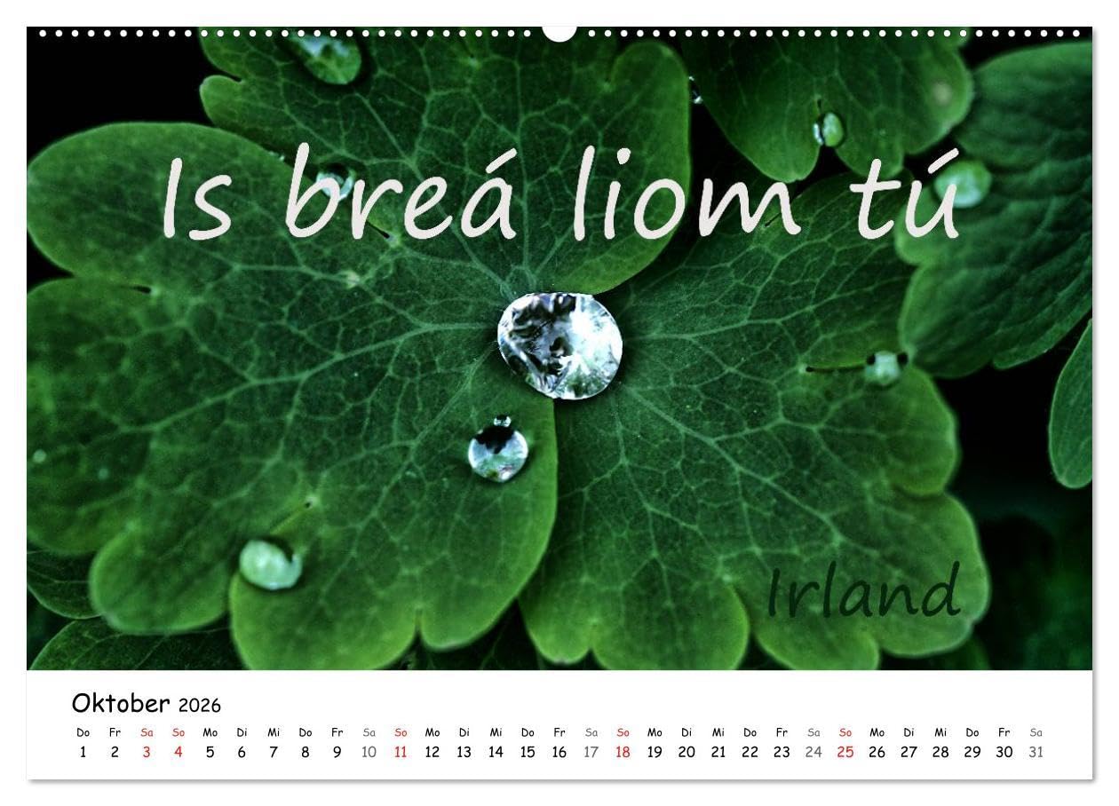 Ich liebe Dich (Wandkalender 2026 DIN A2 quer), CALVENDO Monatskalender: Ich liebe Dich - In den verschiedensten Sprachen der Welt unterlegt mit ... stimmungsvollen Bildern (CALVENDO Natur)