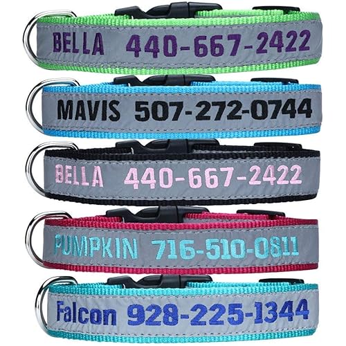 ROKHEVN WANTIG Embroidered Personalized ID Collar, 4 Adjustable Sizes: Extra-Small, Small, Medium, Large with Dog Name Phone#, Reflective Pet Pink Collars for Boy & Girl Dogs, X XS M L XL