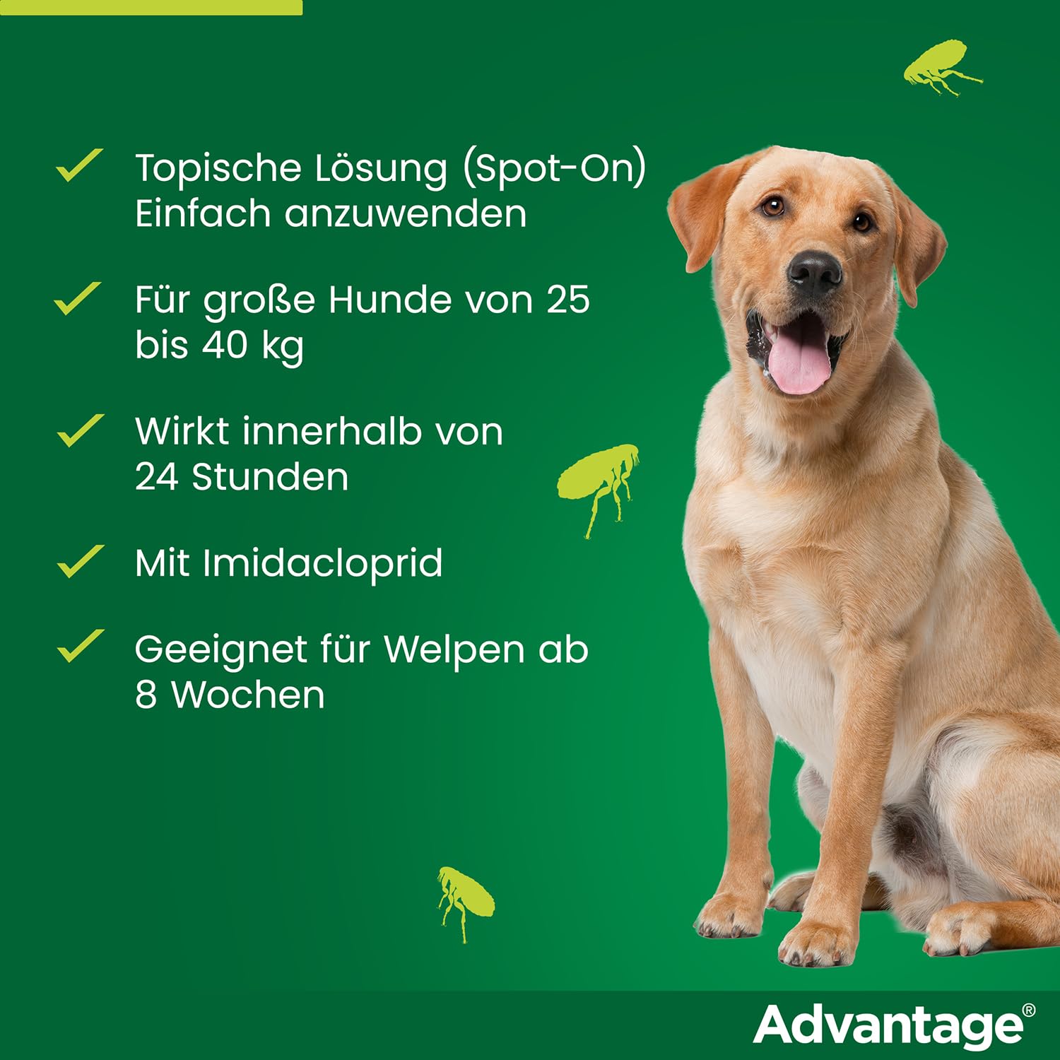 Advantage Spot On für Hunde 400 mg (25-40 kg), gegen Flöhe, 4 Pipetten | Schnelle Hilfe bei Flöhen: Wirkt bei Kontakt ohne Stich. Schützt deinen Hund & dein Zuhause. Einfache Anwendung im Nacken.