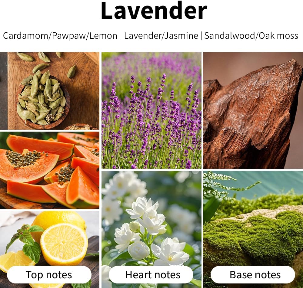Lavender Home Fragrance Candle, 7 oz Soy Wax Jar image 3