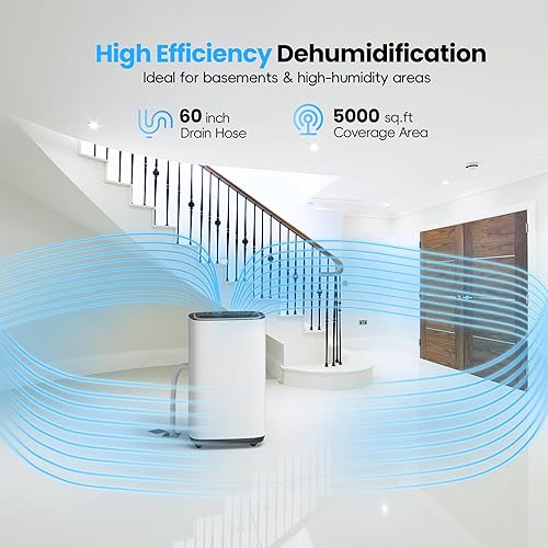 Miniatura 2 de Deshumidificador de 5000 pies cuadrados, deshumidificadores de 52PT24H con manguera de drenaje para sótano, deshumidificador de compresor grande