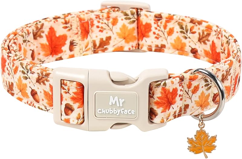 Coleira ajustável para cães com estampa de folhas de outono MR.CHUBBYFACE – XL