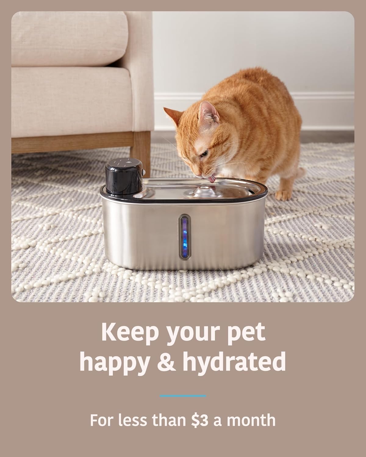Orange cat drinking water from a Veken 3L Wireless Cat Fountain.