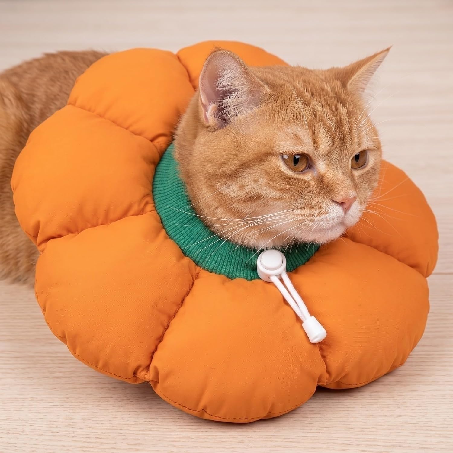 Pumpkin Pet Recovery Collar, Soft Adjustable Elizabethan Cone for Cats Small Dogs, Anti Licking Bite E Collar for Wound Healing, Cute Pet Halloween Costume Accessory