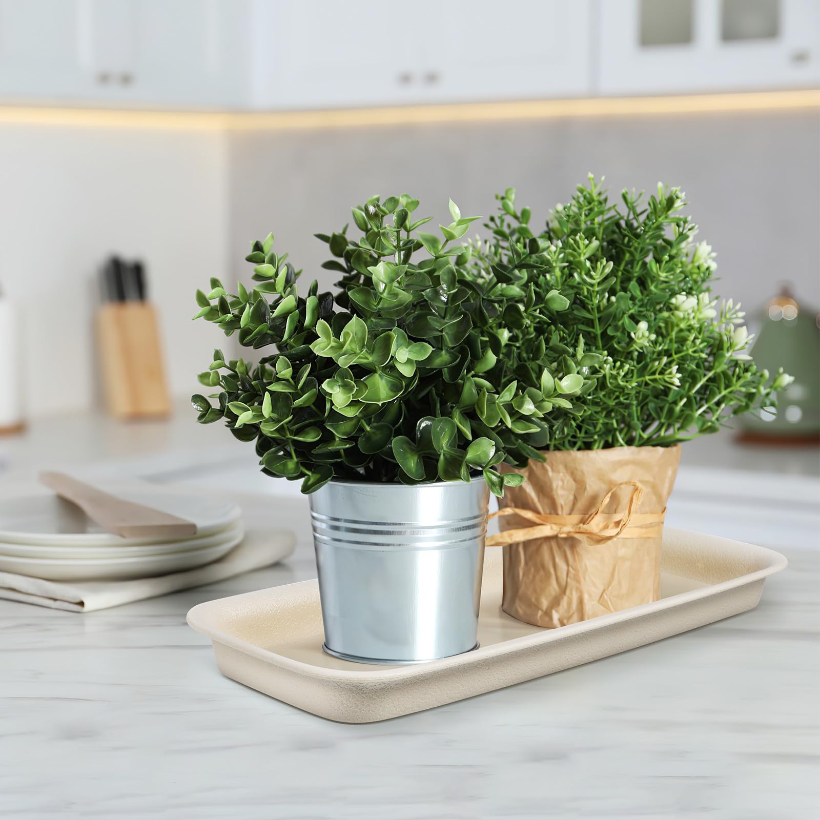 Garneck Lot de 3 soucoupes rectangulaires en Plastique - Bac de d'eau pour Plantes - Soucoupes pour Pots de Fleurs et jardinières de Balcon - Idéal pour l'intérieur et