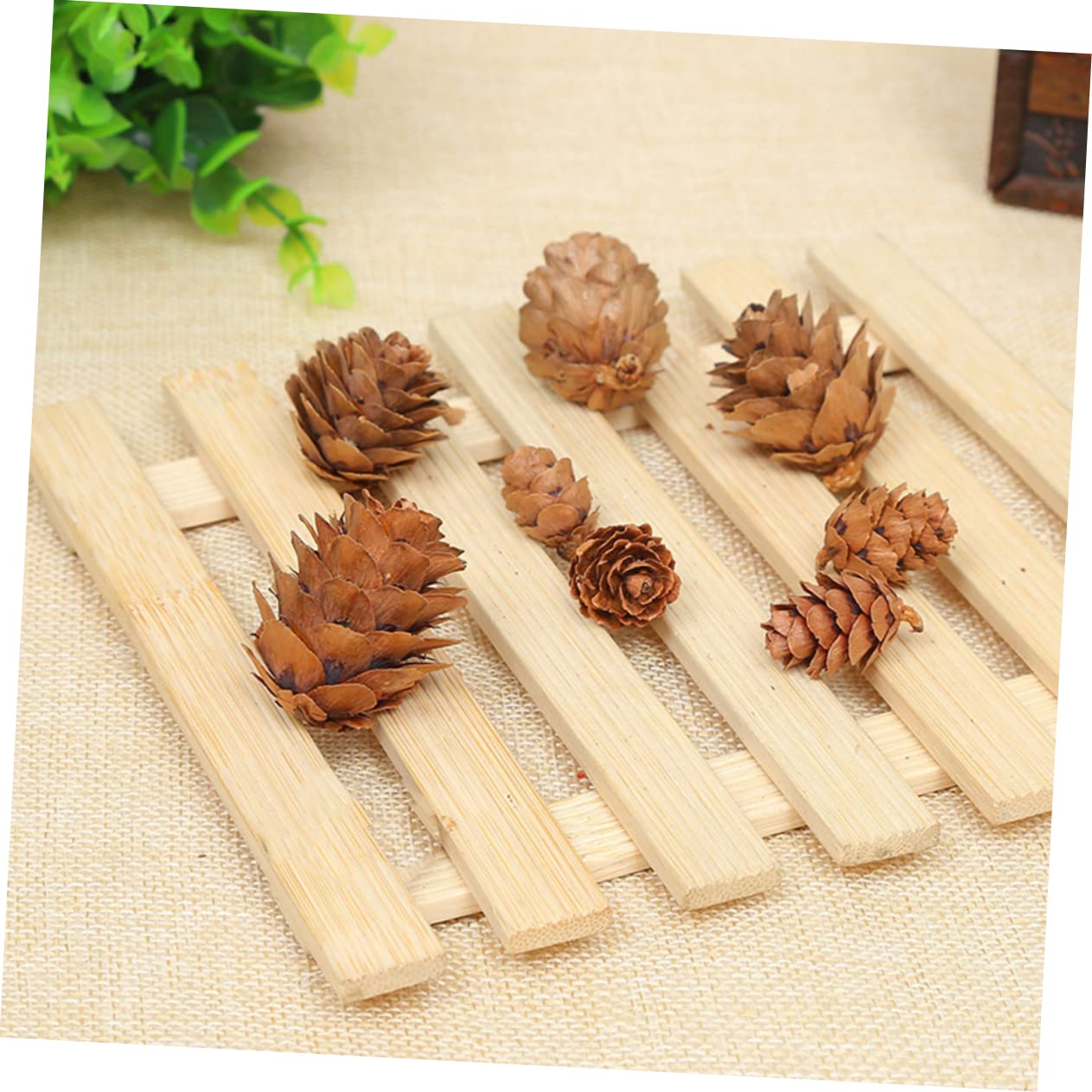 210piezas Decoraciones de Piñas Naturales Mini Piñas Secas de Adorno Vegetal para Acción de Gracias y Navidad para Decoración de Hogar