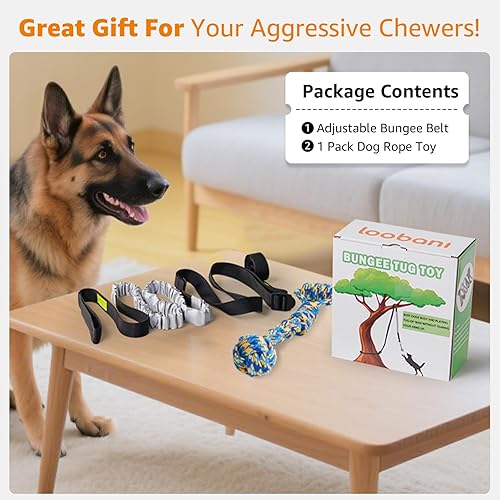 Vista 24 de LOOBANI Juguete de poste de resorte para Pitbull: juguetes de tira y afloja para perros pequeños y grandes masticadores agresivos para hacer