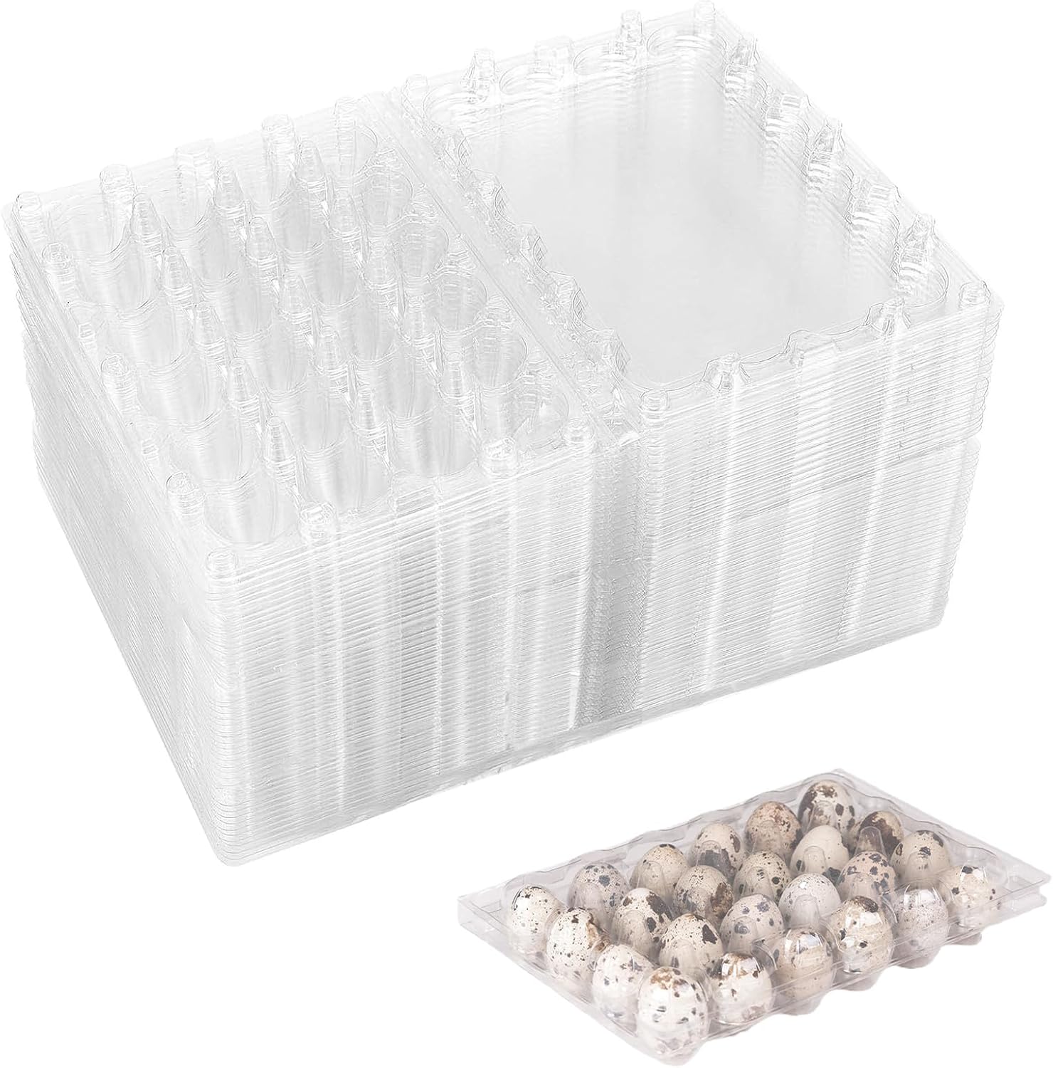 100PCS Quail Egg Cartons 24 Grid Plastic Blank Quail Egg