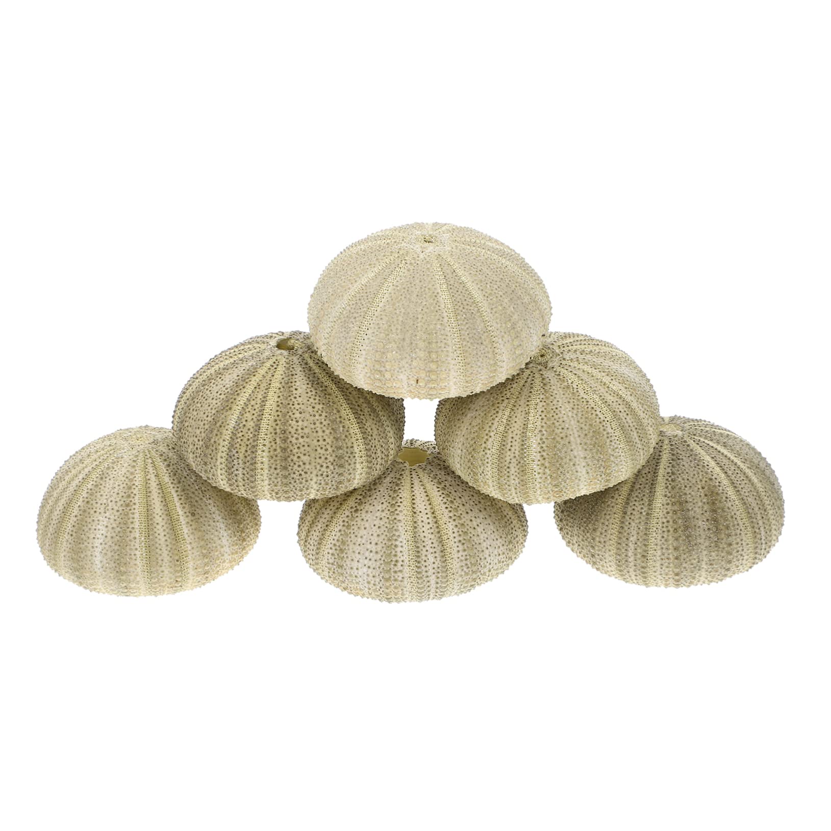 OUNONA 4 Ensembles Pots À Plantes Aériennes Décorations pour Aquarium Et Plantes Naturelles 6 Pièces * 4
