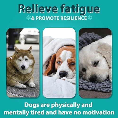 Miniatura 4 de Masticables calmantes de cáñamo para perros, 150 unidades (11.6 onzas), masticables calmantes para perros, ayuda con la ansiedad del perro,