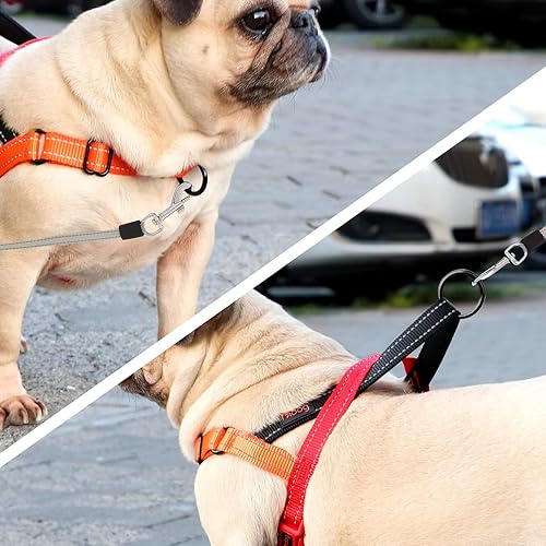 Miniatura 3 de Didog Arnés para perro sin tirones con mango acolchado suave, ajuste rápido y ligero ajustable, fácil de entrenar y caminar para perros pequeños,