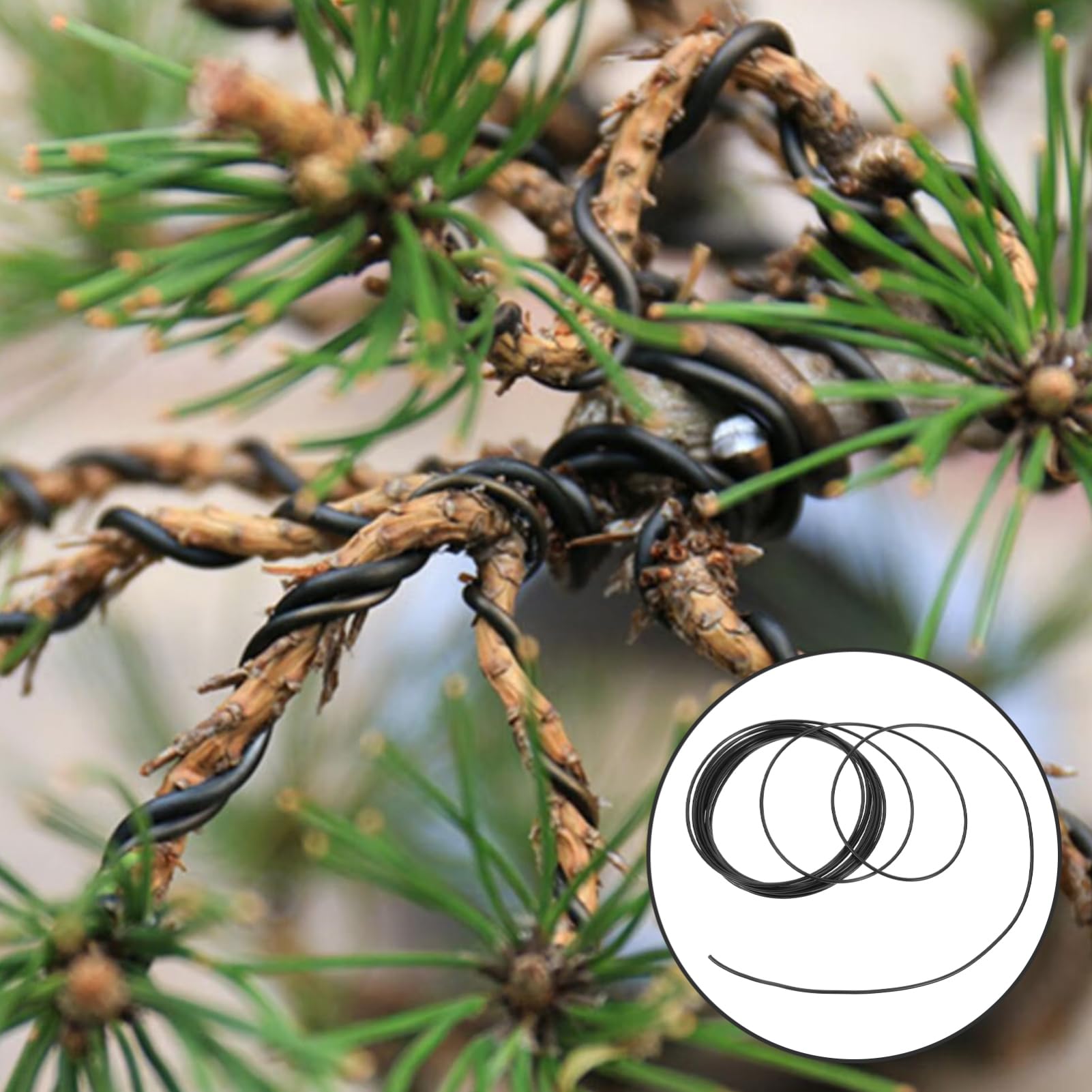 Housoutil Bonsai Wire, Aluminum Bonsai Training Wire, Garden Plant Training Wire Tool for Holding Bonsai Branches Small Trunks, Black