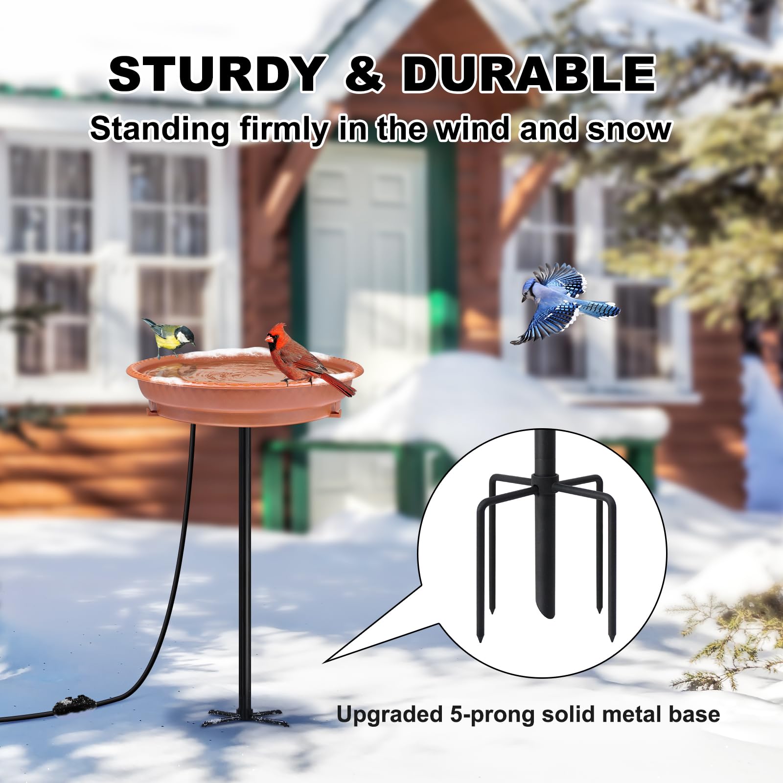 BIRD WISH Beheizte Vogeltränke, stabiler 5-Zinken-Metallsockel, Thermostat-Kontrolle, Wetterbeständigkeit, alle Jahreszeiten erhältlich, 75 W, beheizte Vogeltränke für den Außenbereich, für Winter
